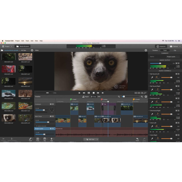 Sony Catalyst Production Suite CATPS1000