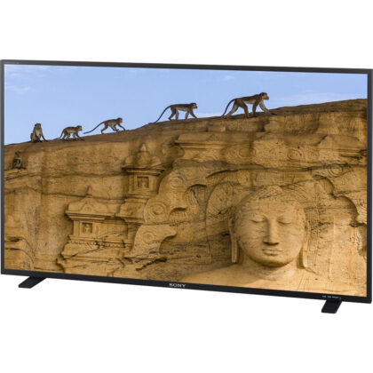 Monitor Sony PVM-X550