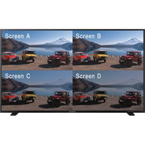 Monitor Sony PVM-X550