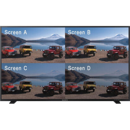 Monitor Sony PVM-X550