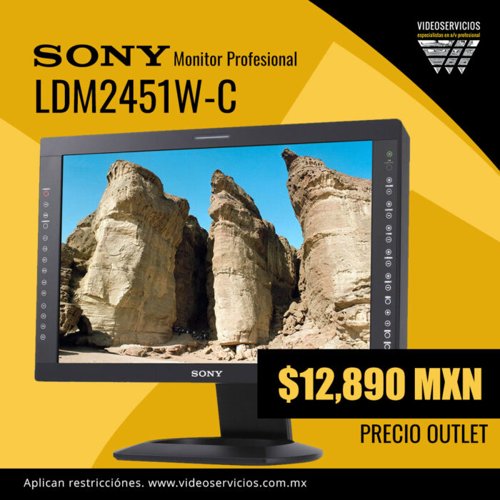 Monitor Sony LDM2451W-C