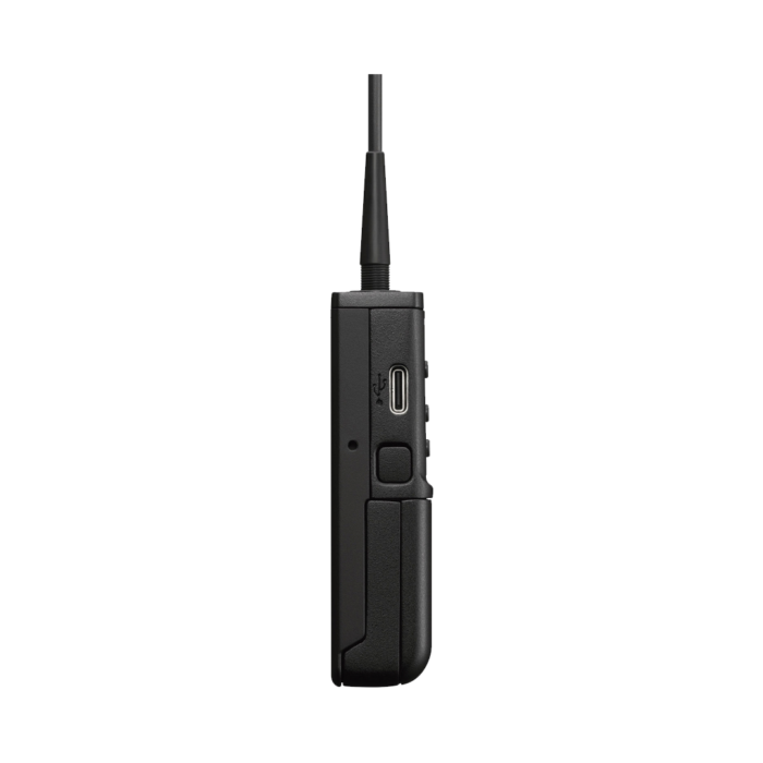 sony-uwp-d21
